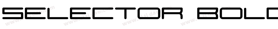 Selector Bold字体转换